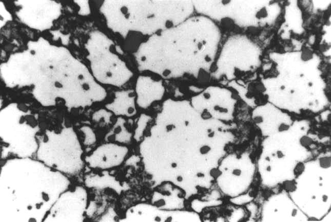 ciekłej wyprasek z proszku tego stopu i opracowanie własności tak otrzymanych materiałów. 30 µm 2.1.