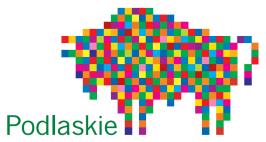 SEKCJA B.INFORMACJE DOTYCZĄCE WNIOSKODAWCY ORAZ OPERACJI Wniosek w części B wypełniany jest przez Wnioskodawcę zgodnie ze stanem faktycznym. W sekcji B.II.2.1.
