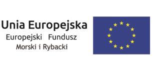 nawet, jeśli imię i nazwisko stanowi nazwę podmiotu W sekcji B.II.2.4. Numer identyfikacyjny Należy wpisać numer identyfikacyjny nadany przez Agencję Restrukturyzacji i Modernizacji Rolnictwa (ARiMR).