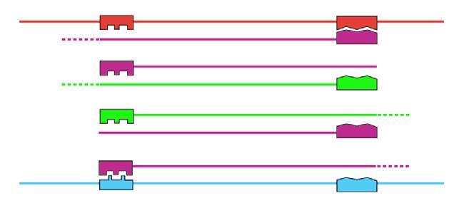 PCR Cykl 1 Cykl 2 5 3 Denaturacja (95 C) 3 3 5 5 3 Powielany fragment DNA