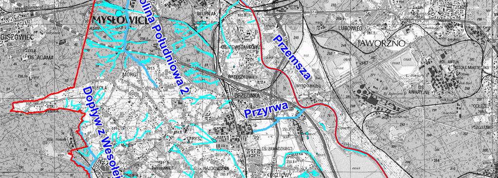 Zlewnia Czarnej Przemszy wynosi 1045,5 km². Głównymi prawobrzeżnymi dopływami są Brynica i Bolina, zaś lewobrzeżnymi Mitręga, Trzebyczka i potok Pogoria.