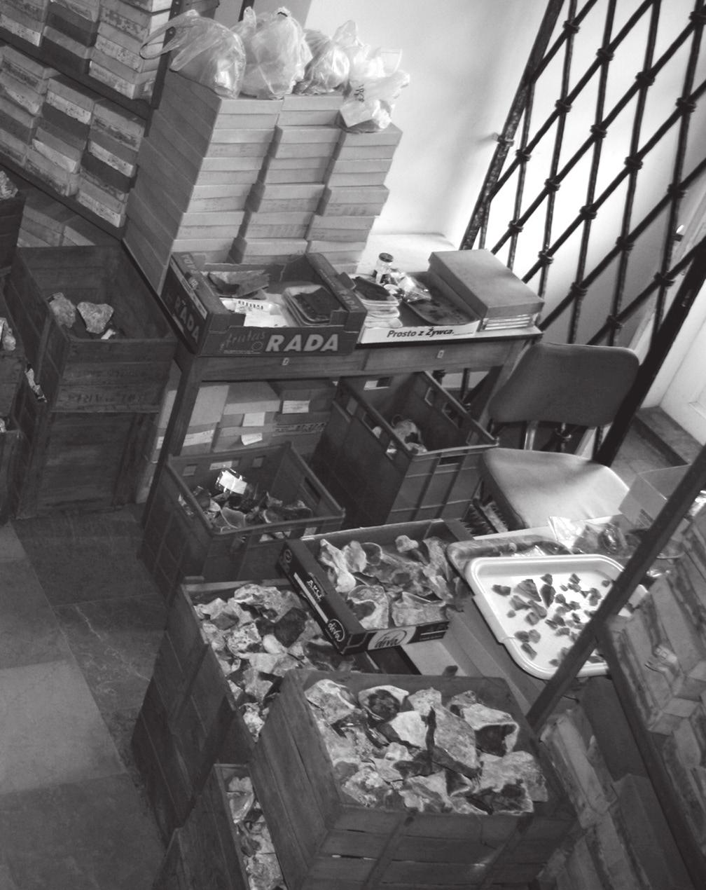 146 Ryc. 3. Igołomia, pow. krakowski. Pracownia Archeologiczna Oddziału Krakowskiego Instytutu Archeo logii i Etnologii PAN. Materiał krzemienny z badań w Sąspowie w 1962 r.