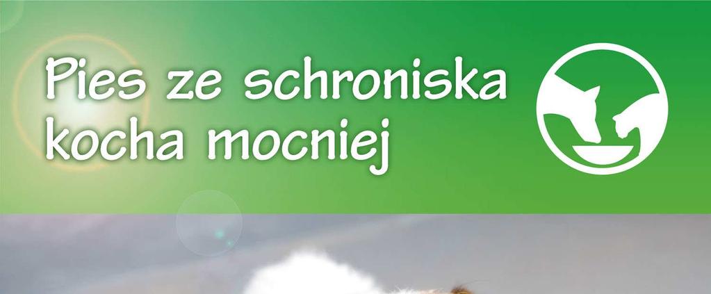 www.schronisko.