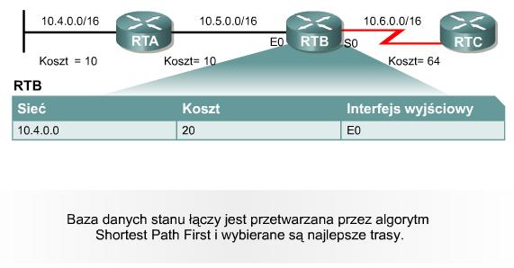 Czynności wykonywane przez OSPF Wybór