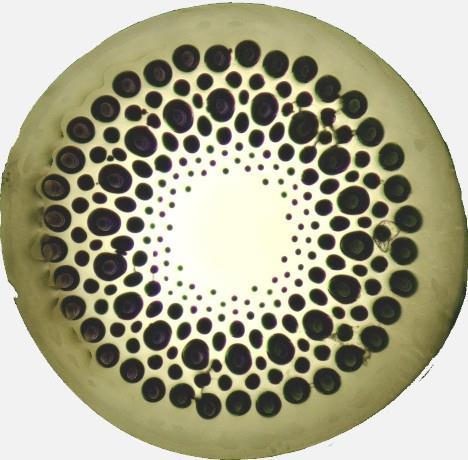 mikrostrukturalne włókno kwarcowe 125 µm