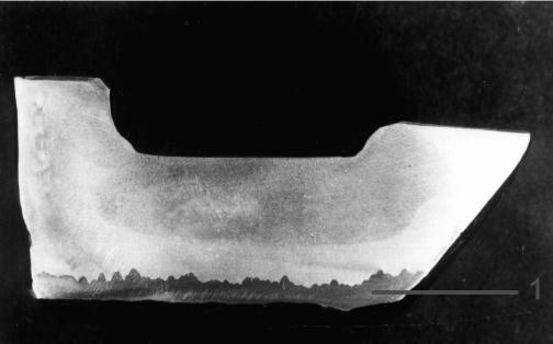 Rys. 10. Przekrój odlewu płozy z widoczną powierzchniową kompozytową warstwą stopową (1) Fig. 10. Cross-section of skid with surface composite alloy layer (1) 4.