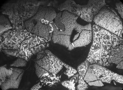 ARCHIWUM ODLEWNICTWA Rys.13. Powierzchniowa warstwa kompozytowa. Widoczne cząstki SiC. Pow. 100. Fig.13. Surface composite layer with particle of SiC. Rys.14.