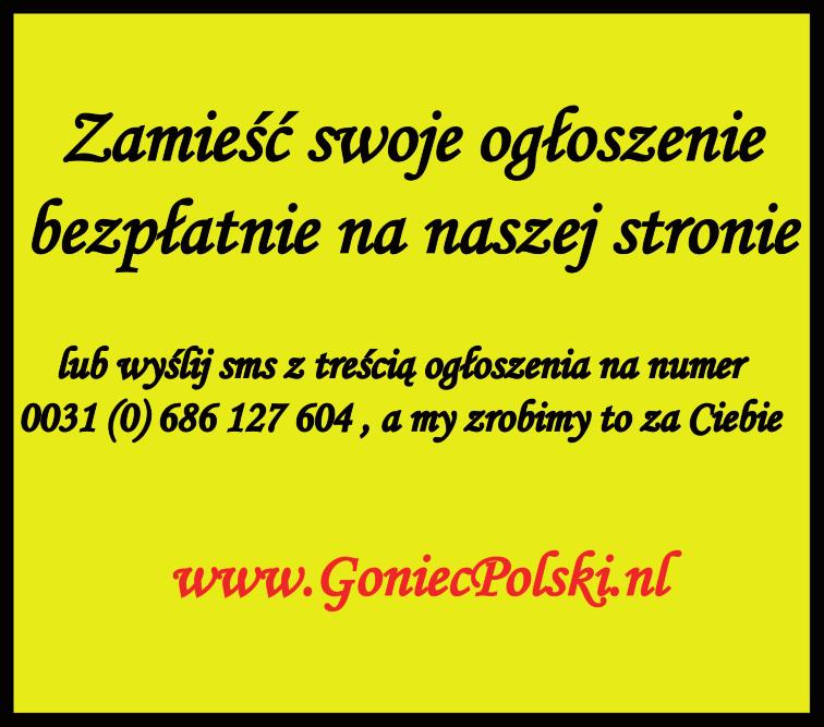 6 Nasza Holandia WTOREK, 20 czerwca 2017 Czwarty Turniej Piłki Nożnej Power Protein Benelux Cup oraz Rodzinny Dzień Dziecka w Tilburgu W