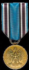 i nadawany uczestnikom powstań śląskich. Pierwszy stopień odznaczenia przysługiwał osobom biorącym bezpośredni udział w walkach powstańczych. Medal Pamiątkowy za Wojnę 1918 1921 ustanowione w 1928 r.