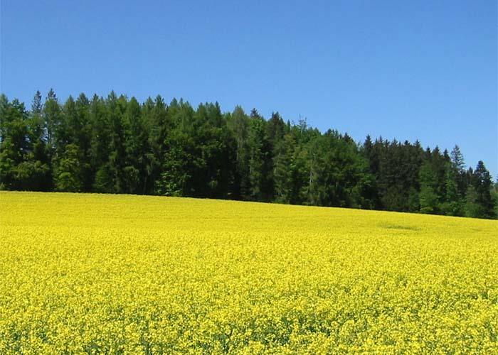 TENETA Wykłady "Czyste energie i ochrona