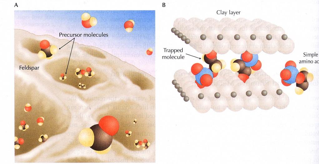 Kataliza powierzchniowa Niezależnie od modelu, powierzchnia minerałów jest dobrym środowiskiem