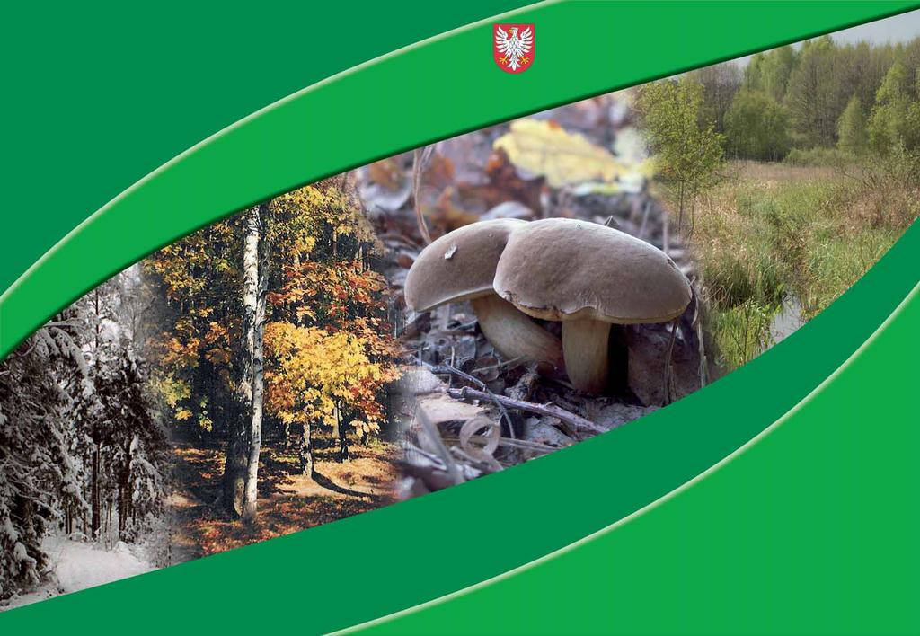 SAMORZĄD WOJEWÓDZTWA