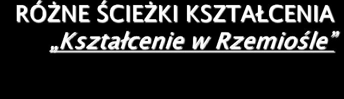 zawód. Dzisiaj odpowiedzią na bezrobocie jest kształcenie dualne, jak w Niemczech.