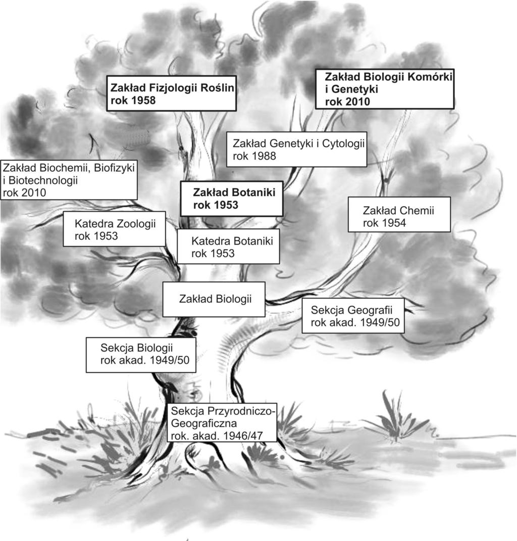 Wiadomości Botaniczne 57(3/4). 2013 41 Ryc. 2. Genealogia Zakładów: Botaniki, Fizjologii Roślin oraz Biologii Komórki i Genetyki, Uniwersytetu Pedagogicznego w Krakowie. Fig. 2. The genealogy of the Divisions of: Botany, Plant Physiology, Cell Biology and Genetics of the Pedagogical University in Krakow.
