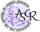 Best Poster Presentations Awards of the Association for the Support of Cancer Research 2016 - Ewa Marek, Anna Lalik, Roman Jaksik: Stability of reference gene expression in cells exposed to stressing
