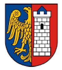 Co-organizers and Patronage of Gliwice Scientific