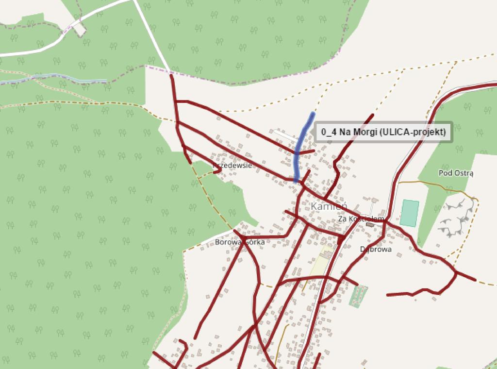 4. DROGA GMINNA WEWNĘTRZNA działka nr 174, nawierzchnia częściowo asfaltowa, częściowo nieutwardzona. Przebieg drogi: od ulicy Mirowskiej w kierunku północnym.
