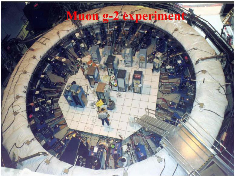 Doświadczenie g µ 2 w BNL (USA) B.