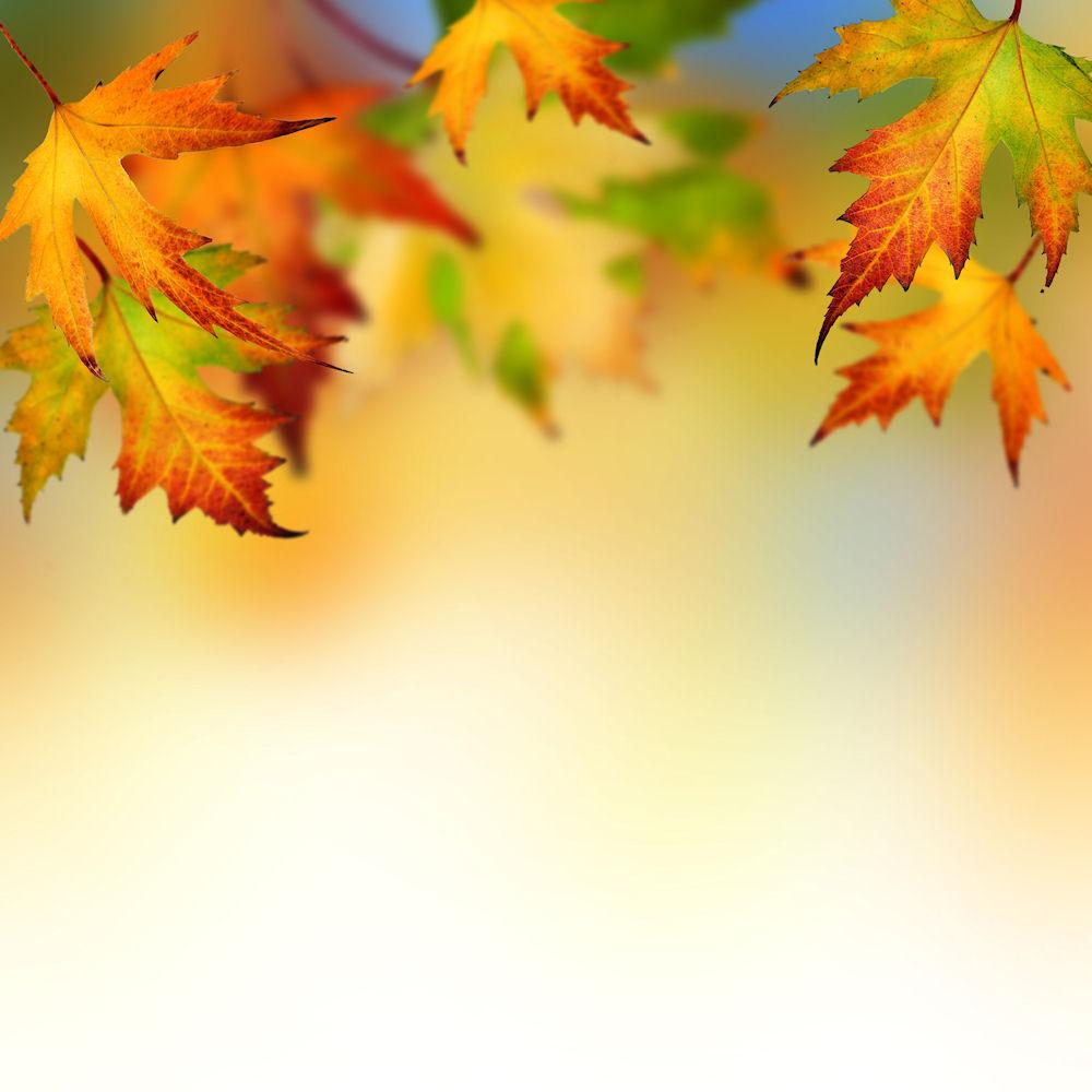 October 11, 2015 28th