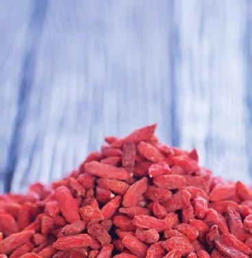 JAGODY GOJI