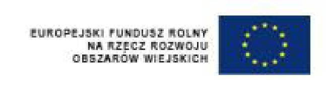 za zgodny z za eniami Lokalnej Strategii Rozwoju i dopuszczony do dofinansowania ze rodków Programu Rozwoju Obszarów Wiejskich w ramach dzia ania Odnowa i Rozwój wsi osi 4 LEADER tego