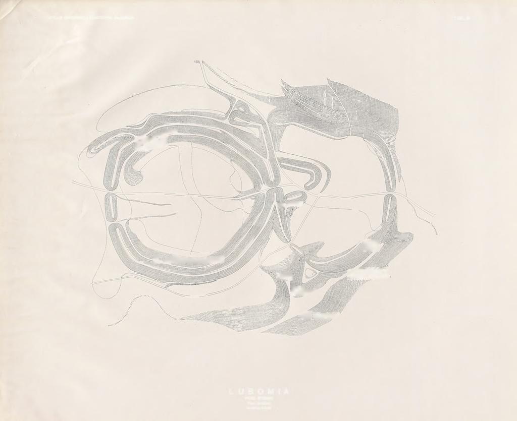 TABL. III «SI I f B i ÉsP* w S IP '"