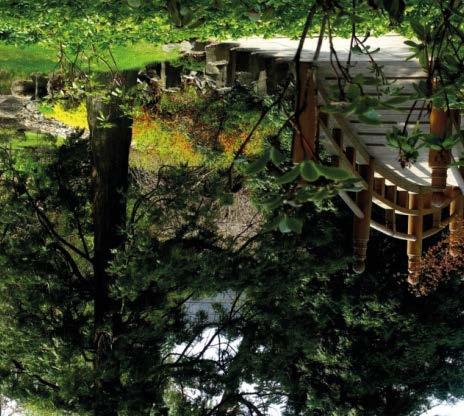 7 Wyjątkowe otoczenie Park Szczytnicki,
