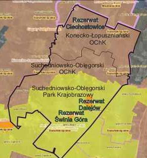 Użytek ekologiczny śródleśne bagno (rej. RDOŚ - 63) ****** Użytek ekologiczny podmokłe pastwiska (rej.