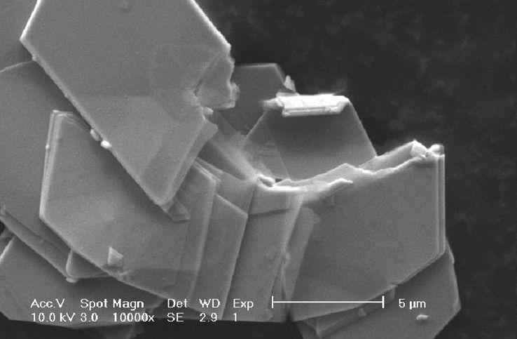 An example of the structure of obtained WS 2 nanoparticles is shown in fig. 8.