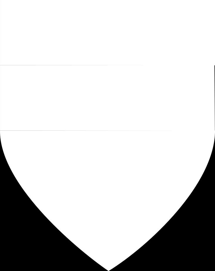 Choragiew wójtostwa sztumskiego (Banderia