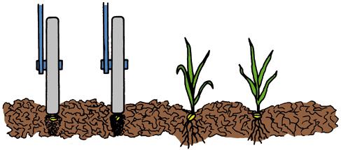 Redlica dwutalerzowa z gumowym kółkiem kopiującym umieszcza nasiona dokładnie na stałej głębokości, nawet przy zmiennych warunkach glebowych.