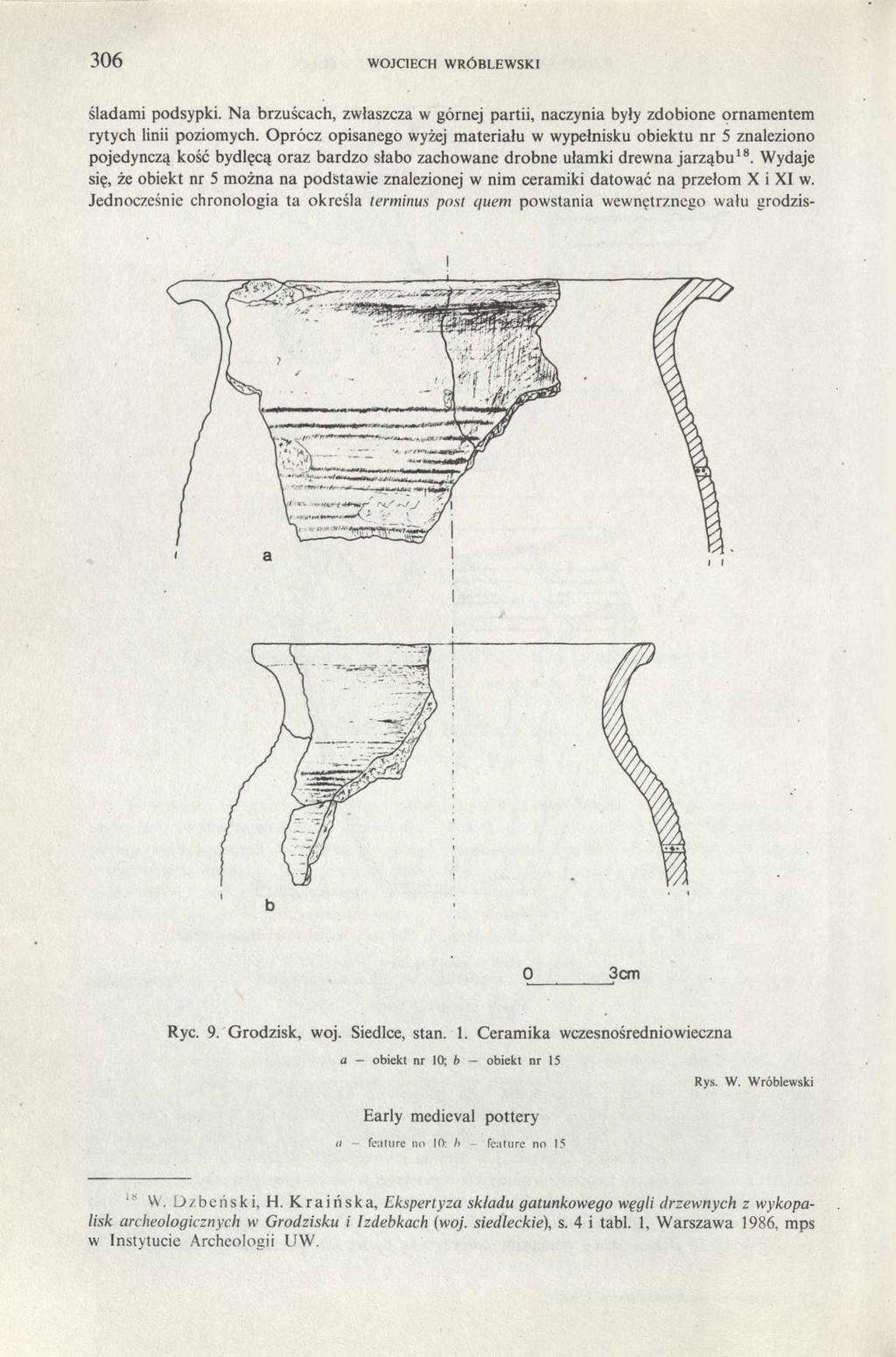 306 wojciech wróblewski śladami podsypki. Na brzuścach, zwłaszcza w górnej partii, naczynia były zdobione ornamentem rytych linii poziomych.
