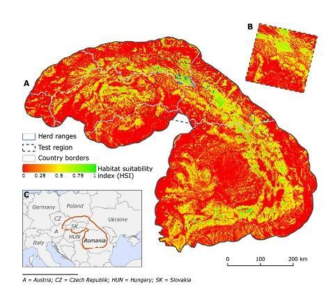 Wyniki analizy HSI (habitat