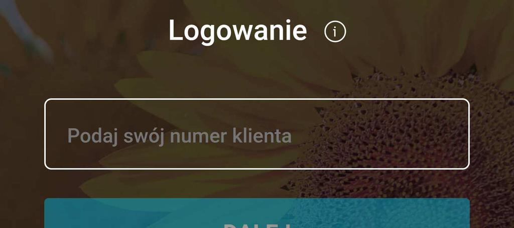 Informacje oraz układ funkcji zostały optymalnie dostosowane do prezentacji na ekranie telefonu.