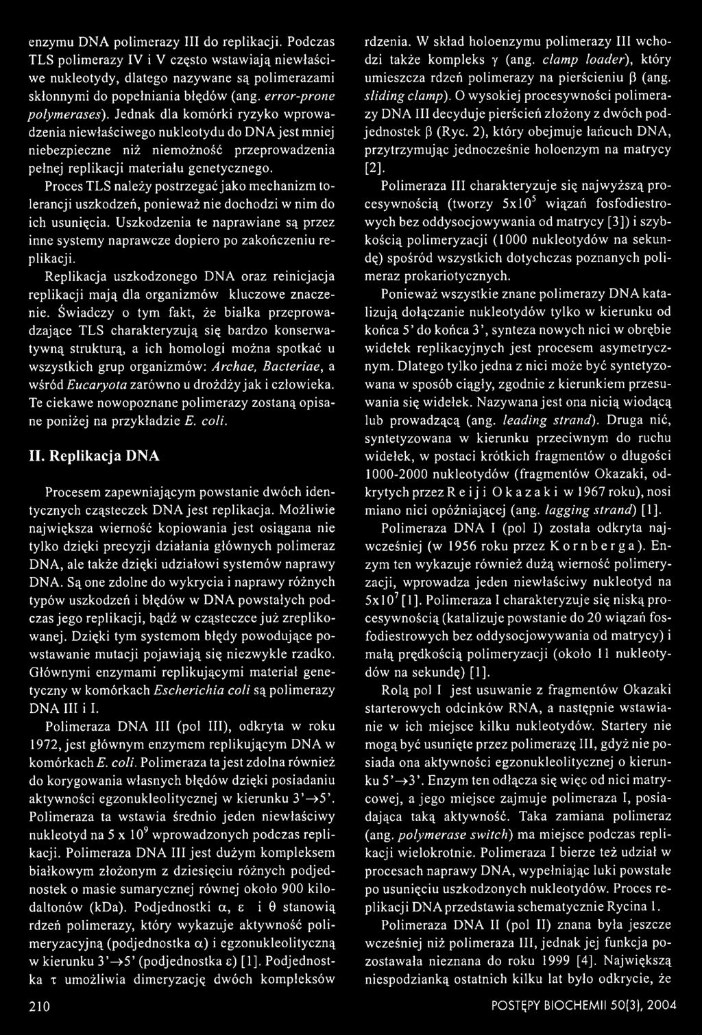 Świadczy o tym fakt, że białka przeprowadzające TLS charakteryzują się bardzo konserwatywną strukturą, a ich homologi można spotkać u wszystkich grup organizmów: Archae, Bacteriae, a wśród Eucaryota