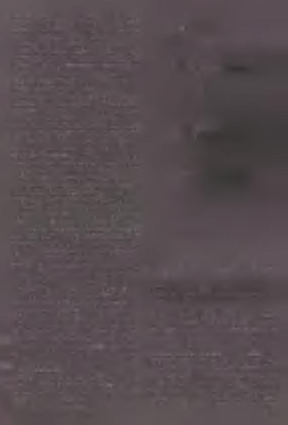 Jest to zjawisko wymiany polimeraz (ang. polym erase switch) bardzo podobne do tego, które zachodzi pomiędzy poi I i poi III w trakcie normalnej replikacji.