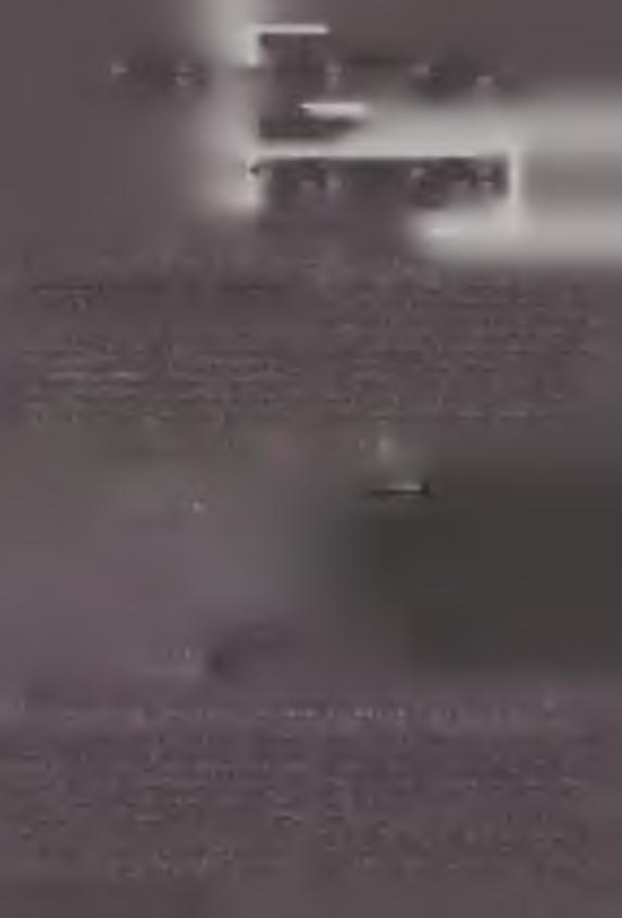 C G * g s- d) e) Przesunięcie ramki odczytu J Ryc. 4. Model przeprowadzania TLS poprzez dg-aaf w obrębie sekwencji Nar I (na podstawie [11]). VIII.