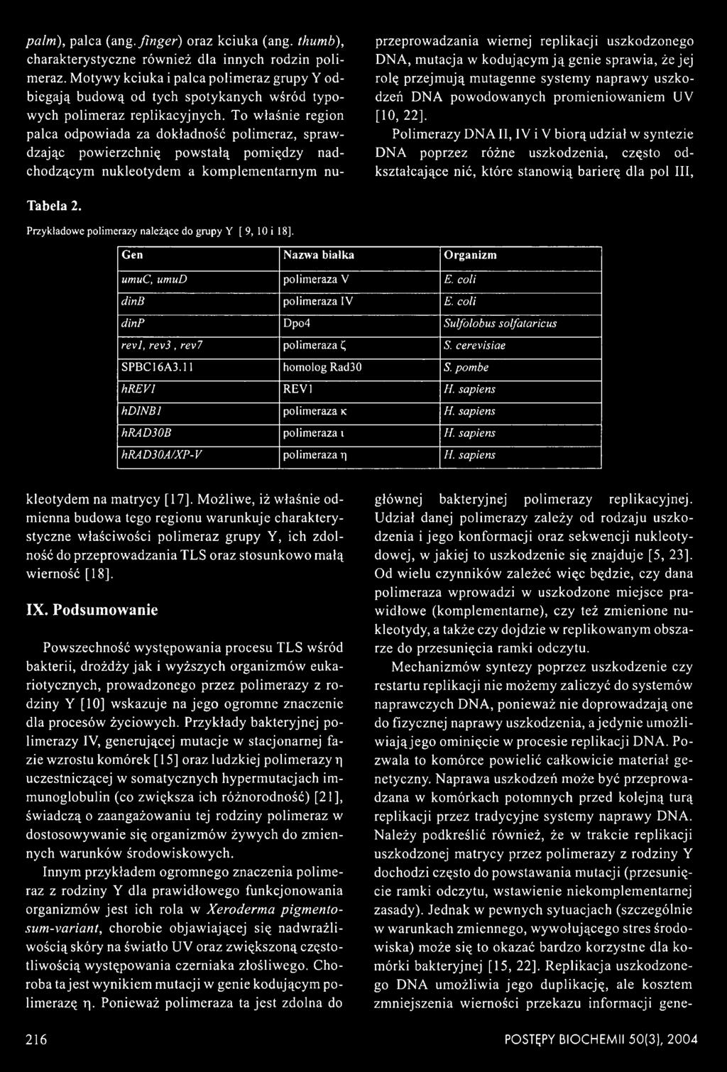 Polimerazy DNA II, IV i V biorą udział w syntezie DNA poprzez różne uszkodzenia, często odkształcające nić, które stanowią barierę dla poi III, Tabela 2.