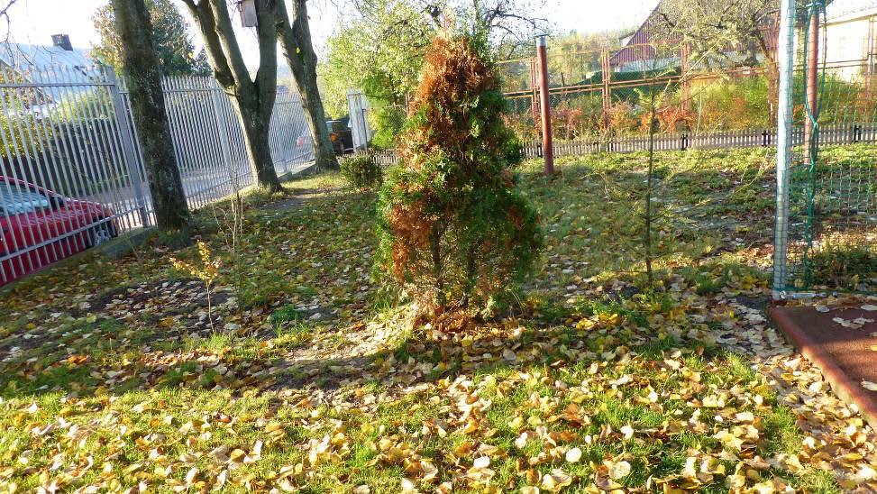 Tartak 2012, numer 1 W NUMERZE: W