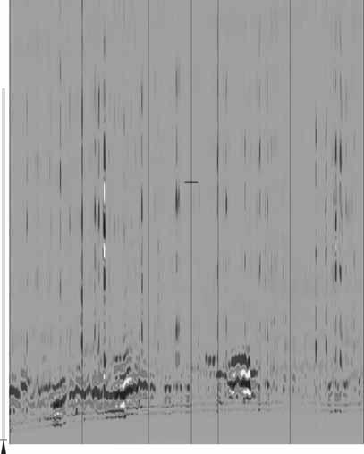 Ryc. 10. Echogramy przekroje georadarowe NSI i NS20 Fig. 10. Echograms GPR images NSI and NS20 Wyniki badañ geofizycznych zosta³y zweryfikowane przez korelacjê z profilami litologicznymi, których lokalizacjê zaznaczono na rycinie 4.