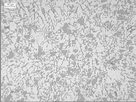 Microstructure of alloy AK20 modified with 1,43% (0,02% P) Rys. 3.