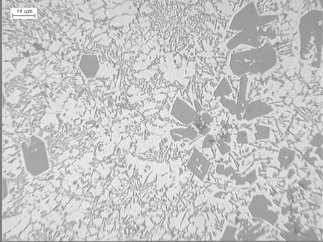 Microstructure of alloy AK20mdified with 3,3% AlTi6 (0,2% Ti) and 1,43% (0,02% P)