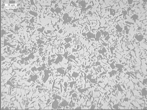 Microstructure of alloy AK20 modified with 6,6% AlTi3B