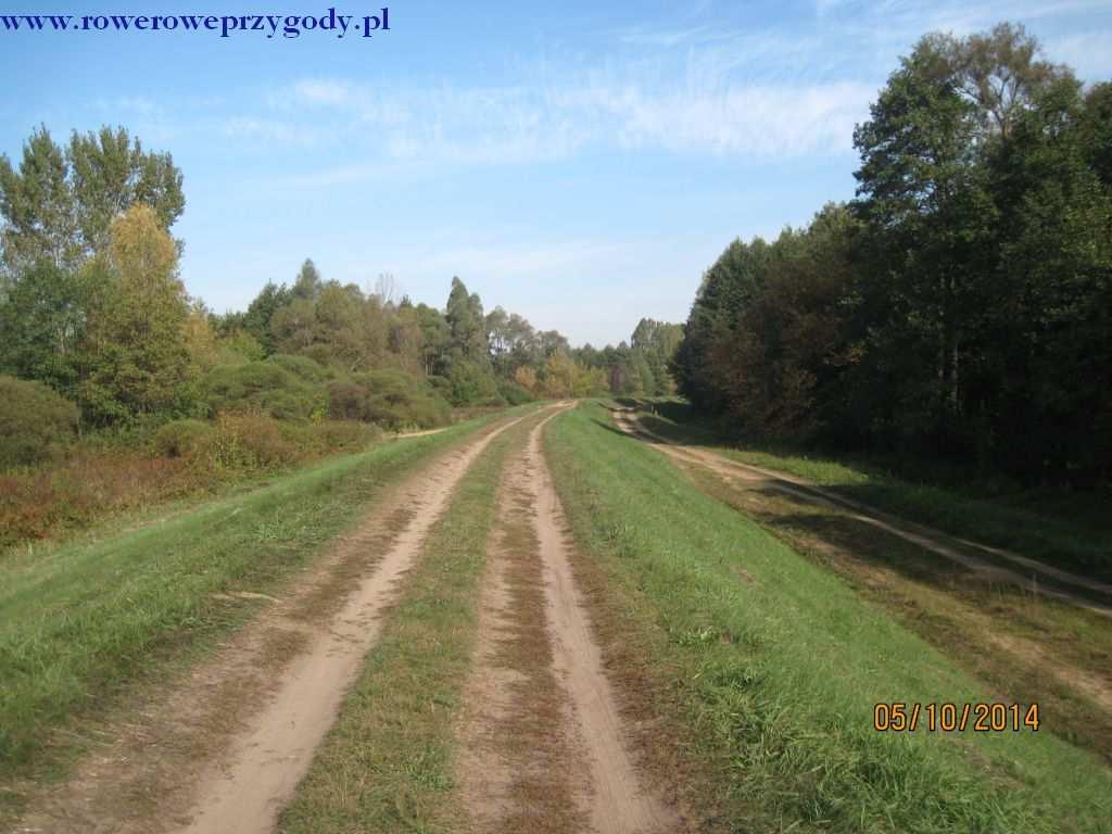 Zdjęcie nr 8 Wał przeciwpowodziowy przy rzece