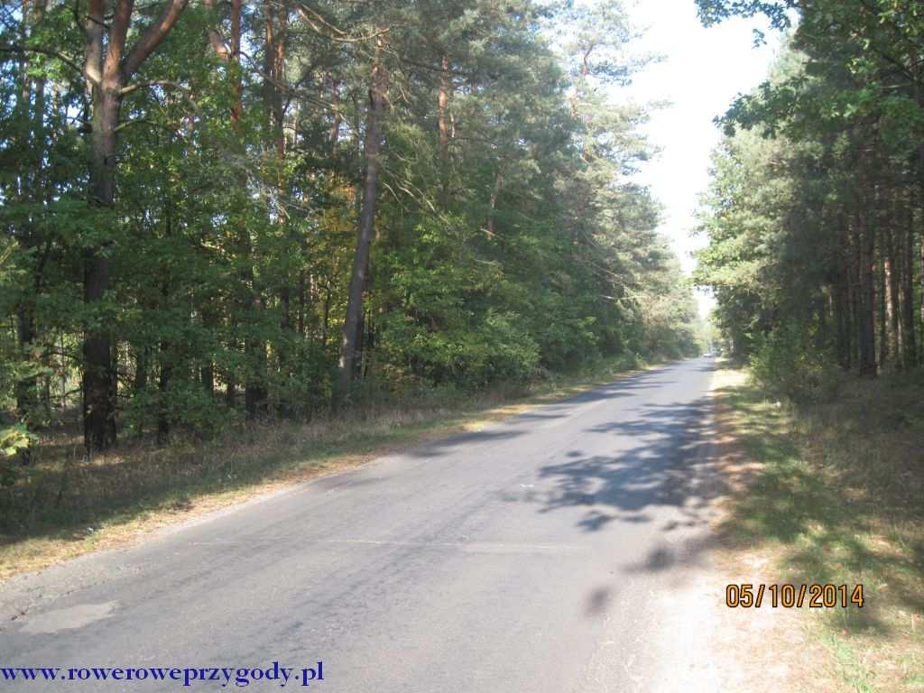 Witam na kolejnej wycieczce rowerowej. Tym razem udamy się w okolice wschodniej części Pułtuska, na teren Nadbużańskiego Parku Krajobrazowego.