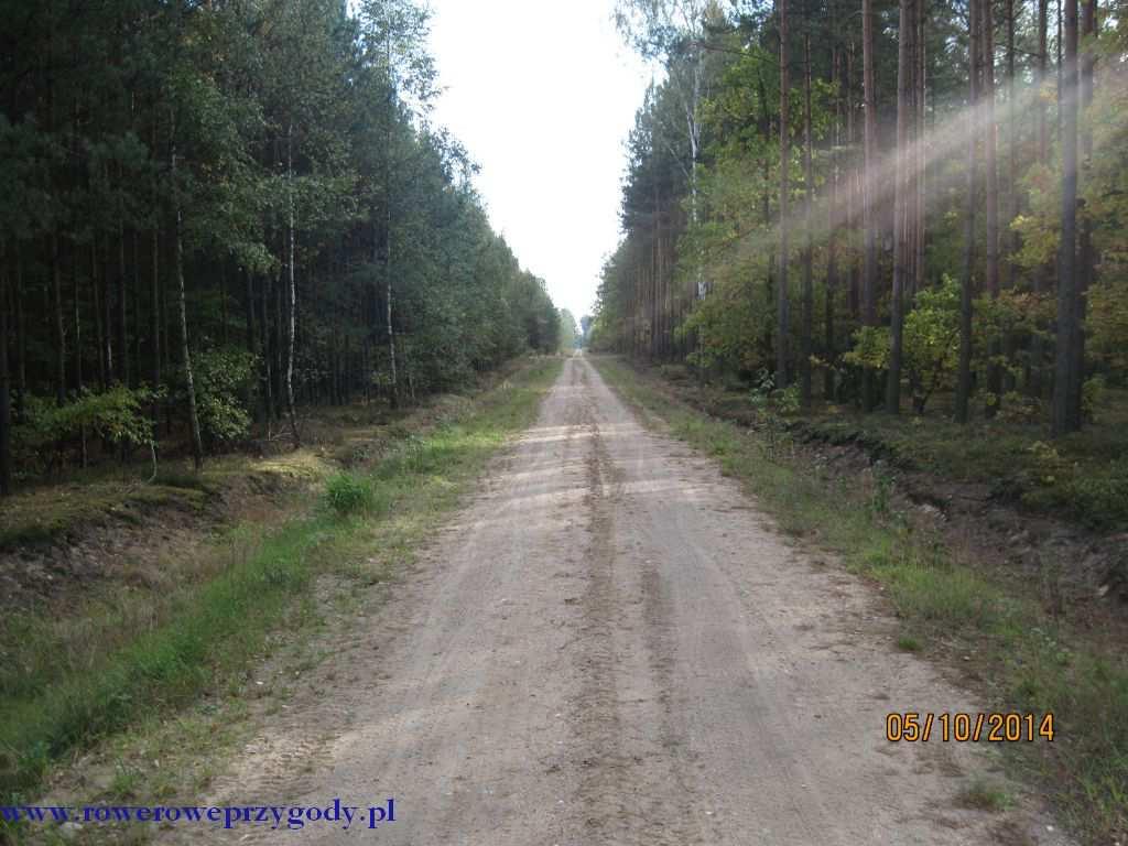 skręcić w drugą na prawo od naszej drogi, którą przyjechaliśmy. Tuż po skręcie, naszą drogę przecina inna droga, ale my trzymamy się prosto, kierując się na południe.