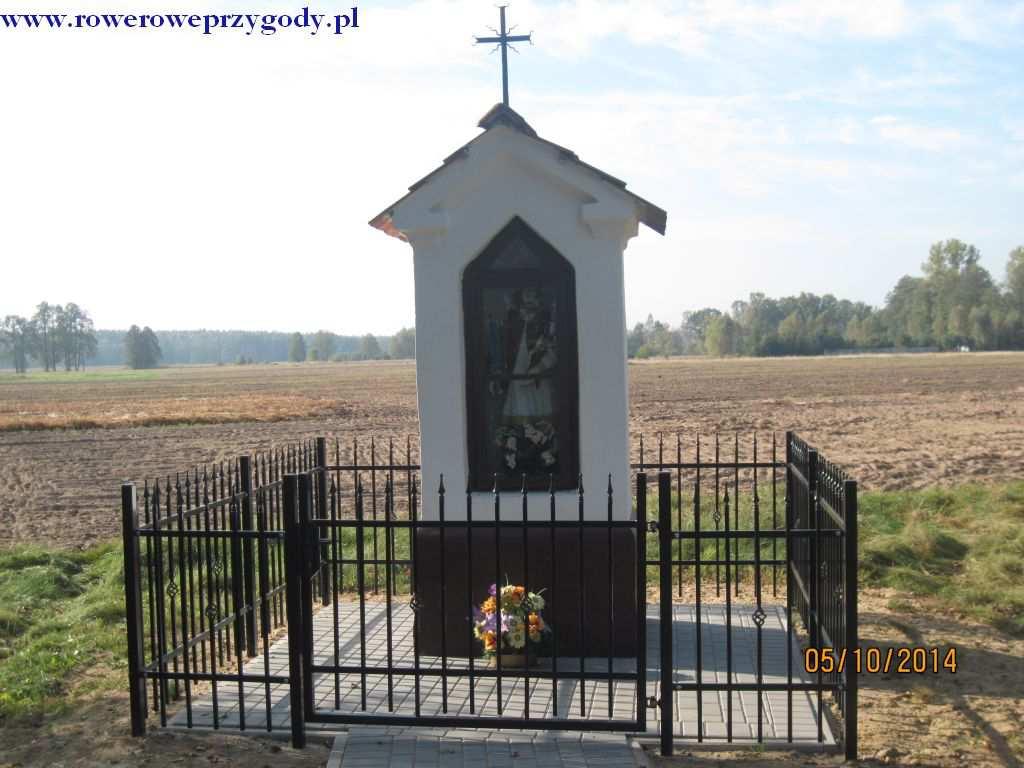 Kapliczka ta pochodzi z 1954 r. Powoli opuszczamy Borsuki, mijamy jeszcze jedną kapliczkę po lewej stronie drogi z Matką Bożą. Opuściwszy miejscowość ponownie zagłębiamy się w las sosnowy.