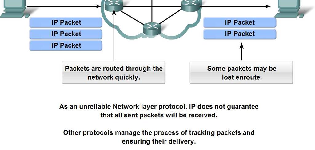 Network Layer Protocols and Internet Protocol (IP) Describe the implications