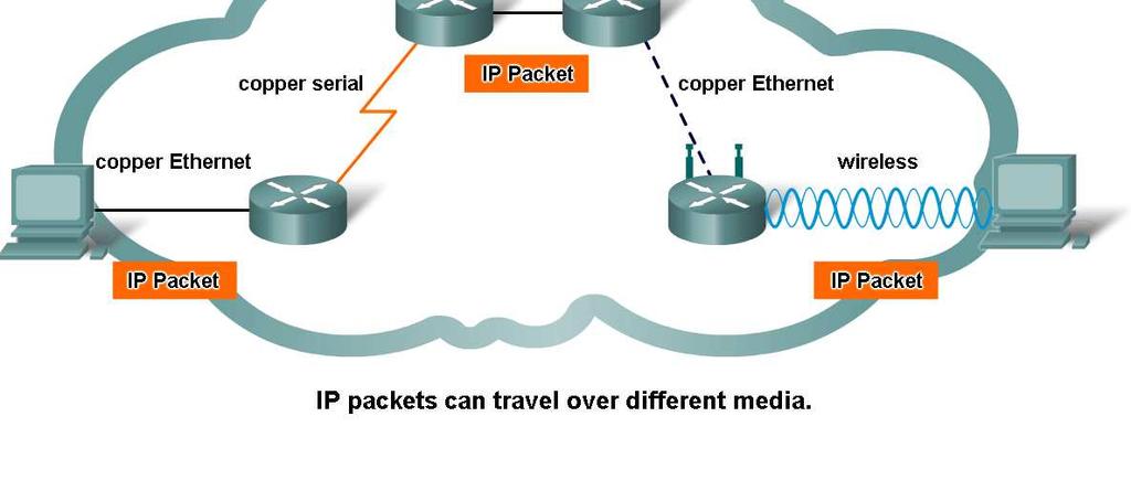 Network Layer Protocols and Internet Protocol (IP) Describe the