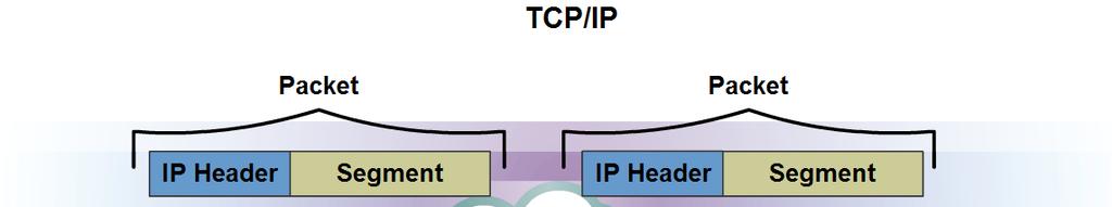 Network Layer Protocols and